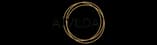 AIVEDA logo